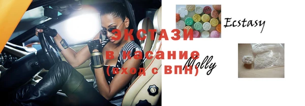 стаф Новокубанск
