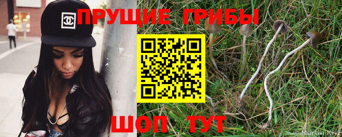 Галлюциногенные грибы Magic Shrooms Миллерово